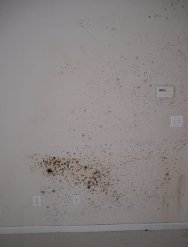 image10